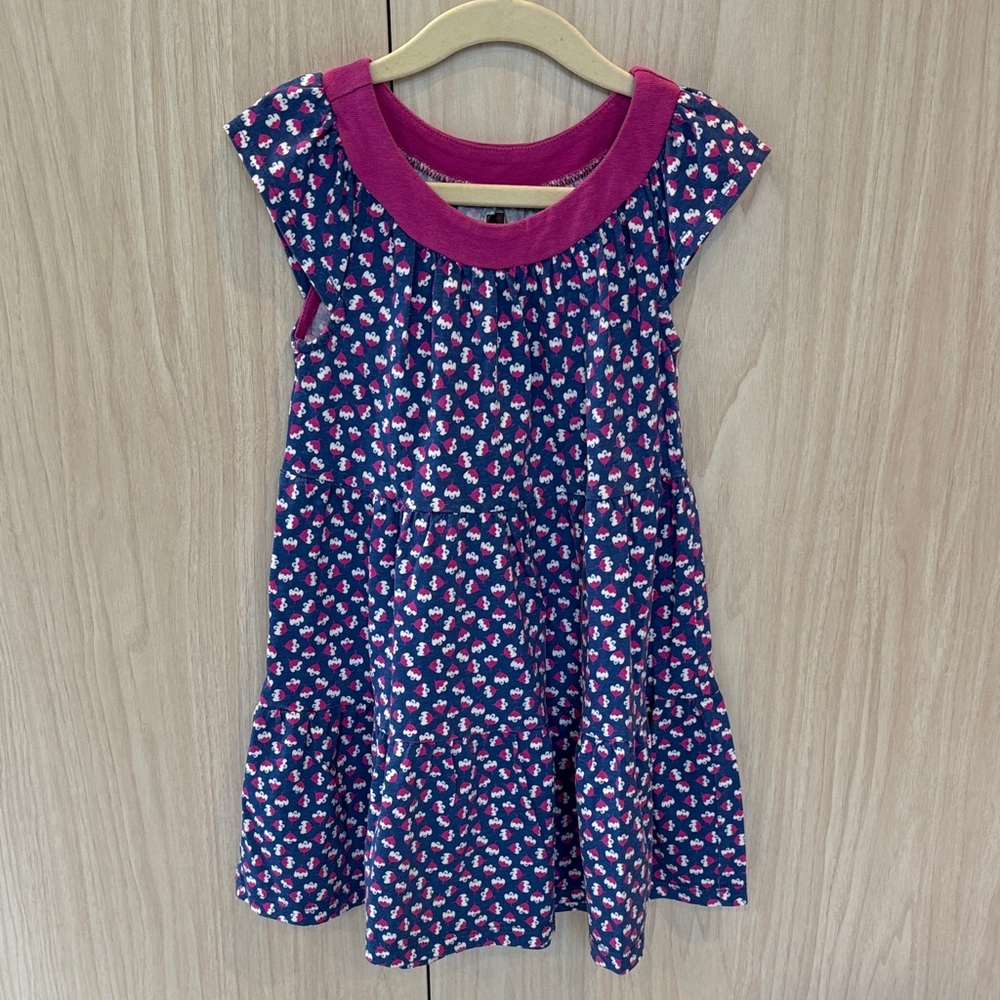 Tea Collection Blue Floral Dress with Pink Trim